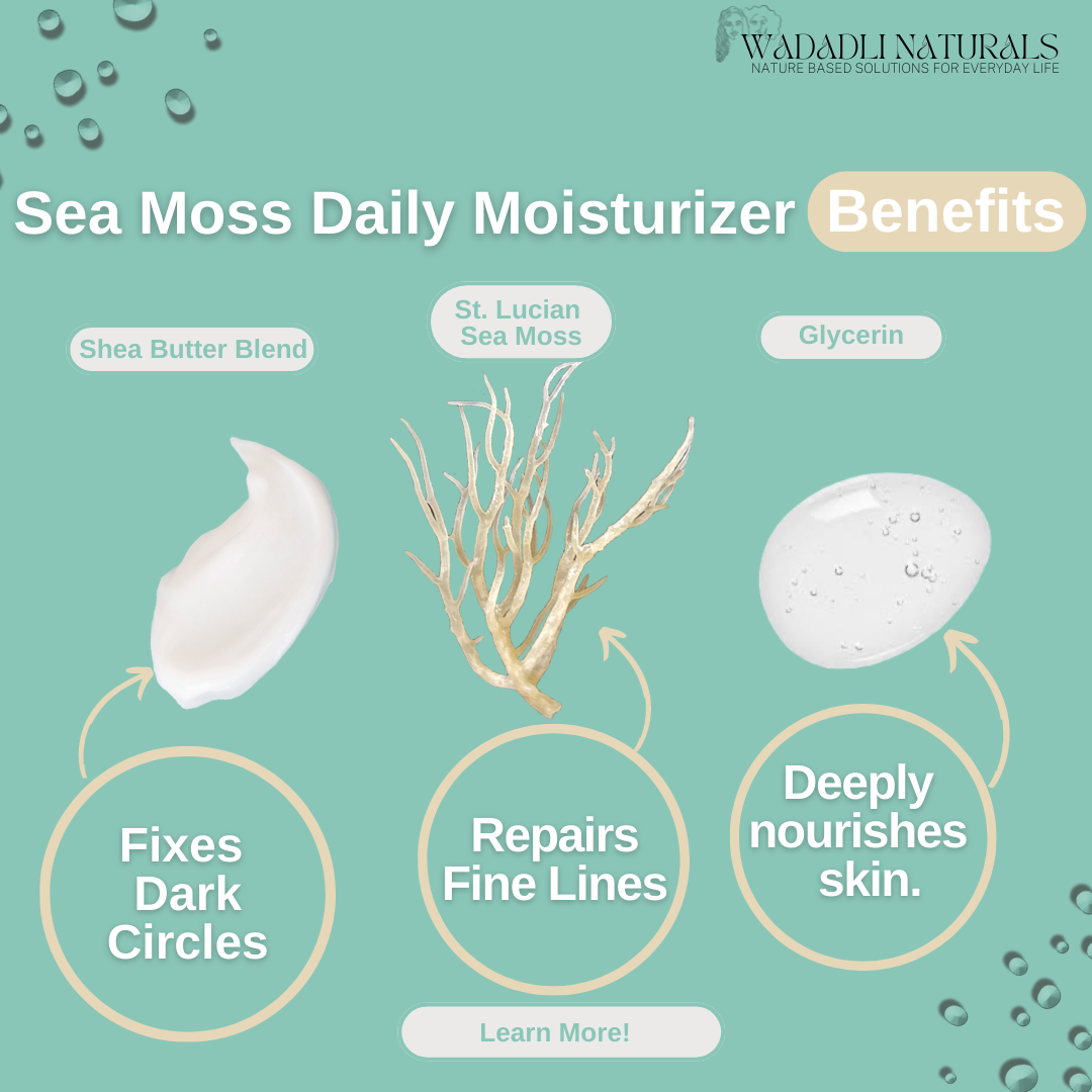 Sea Moss Face Cream